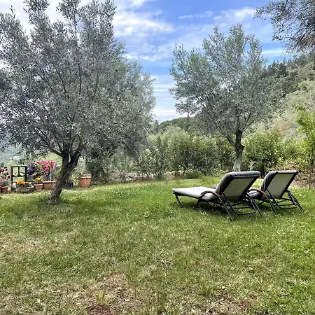 公寓 Katouna Home Lefkada