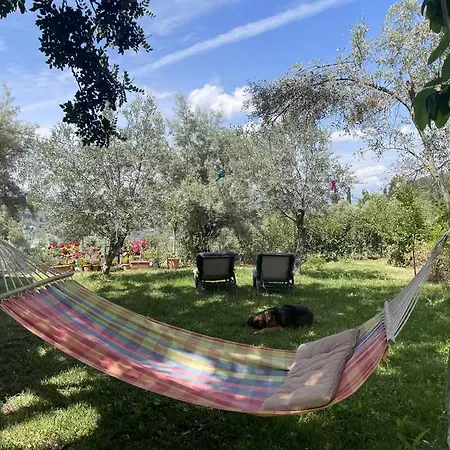 公寓 Katouna Home Lefkada